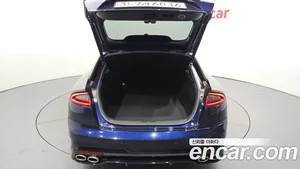 Kia Stinger, 2019 — миниатюра 20