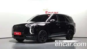 Hyundai Palisade, 2020 — миниатюра 1