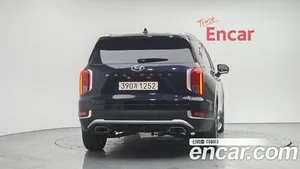 Hyundai Palisade, 2020 — миниатюра 4