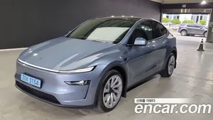 Tesla Model Y, 2025 — миниатюра 1