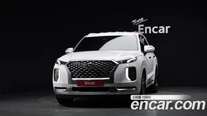Hyundai Palisade, 2021 — миниатюра 2
