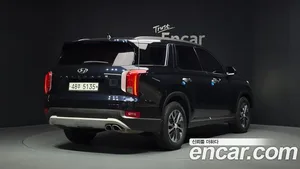 Hyundai Palisade, 2019 — миниатюра 2
