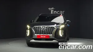 Hyundai Palisade, 2019 — миниатюра 3