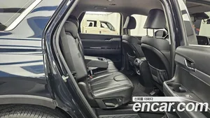 Hyundai Palisade, 2019 — миниатюра 12