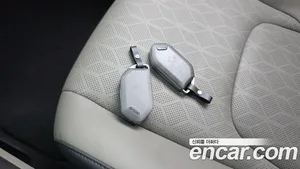 Kia Carnival, 2024 — миниатюра 18