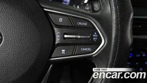 Hyundai Santa Fe, 2019 — миниатюра 21