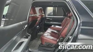 Hyundai Palisade, 2019 — миниатюра 12