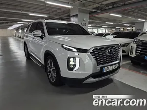 Hyundai Palisade, 2021 — миниатюра 1