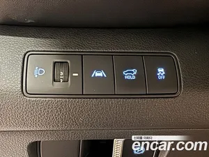 Hyundai Santa Fe, 2020 — миниатюра 17