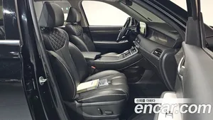 Hyundai Palisade, 2019 — миниатюра 15