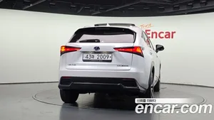 Lexus NX, 2019 — миниатюра 4