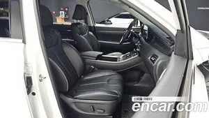 Hyundai Palisade, 2019 — миниатюра 15