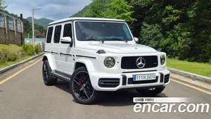Mercedes-Benz G-Class, 2020 — миниатюра 1