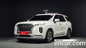 Hyundai Palisade, 2020 — миниатюра 1