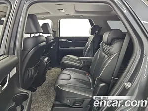 Hyundai Palisade, 2019 — миниатюра 12