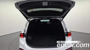 Hyundai Santa Fe, 2019 — миниатюра 20