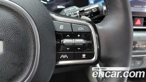 Kia Carnival, 2024 — миниатюра 22
