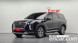 Hyundai Palisade, 2020 — миниатюра 1