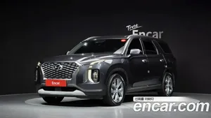 Hyundai Palisade, 2019 — миниатюра 1
