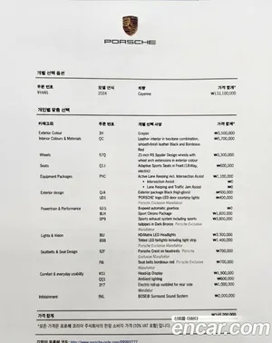 Porsche Cayenne, 2024 — миниатюра 20