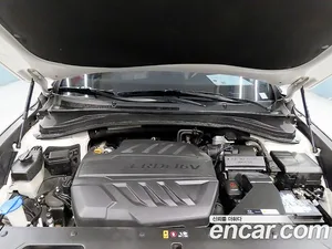 Hyundai Santa Fe, 2018 — миниатюра 20