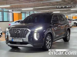 Hyundai Palisade, 2021 — миниатюра 1