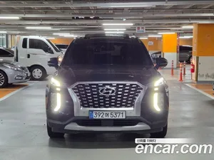 Hyundai Palisade, 2021 — миниатюра 2