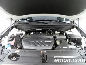 Hyundai Palisade, 2022 — миниатюра 19