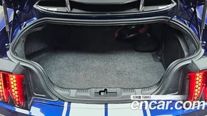 Ford Mustang, 2019 — миниатюра 20