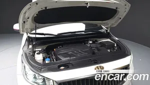 Kia Carnival, 2018 — миниатюра 6