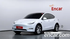 Tesla Model Y, 2021 — миниатюра 1