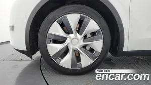 Tesla Model Y, 2021 — миниатюра 5