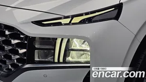 Hyundai Santa Fe, 2020 — миниатюра 8