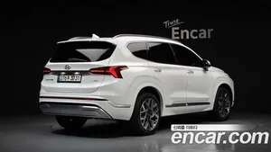 Hyundai Santa Fe, 2020 — миниатюра 2