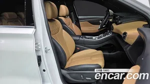 Hyundai Santa Fe, 2020 — миниатюра 16