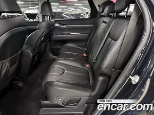 Hyundai Palisade, 2019 — миниатюра 8