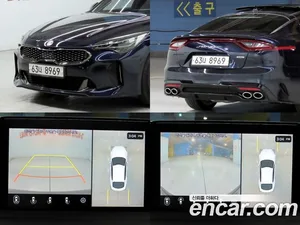 Kia Stinger, 2019 — миниатюра 18