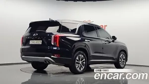 Hyundai Palisade, 2019 — миниатюра 1