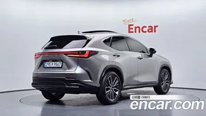 Lexus NX, 2025 — миниатюра 2
