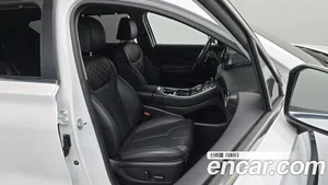 Hyundai Santa Fe, 2021 — миниатюра 16