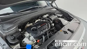 Hyundai Santa Fe, 2020 — миниатюра 6