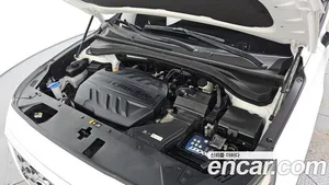 Hyundai Santa Fe, 2019 — миниатюра 6