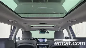Hyundai Palisade, 2019 — миниатюра 17