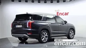 Hyundai Palisade, 2019 — миниатюра 2