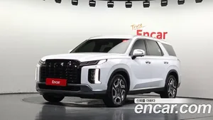 Hyundai Palisade, 2024 — миниатюра 1