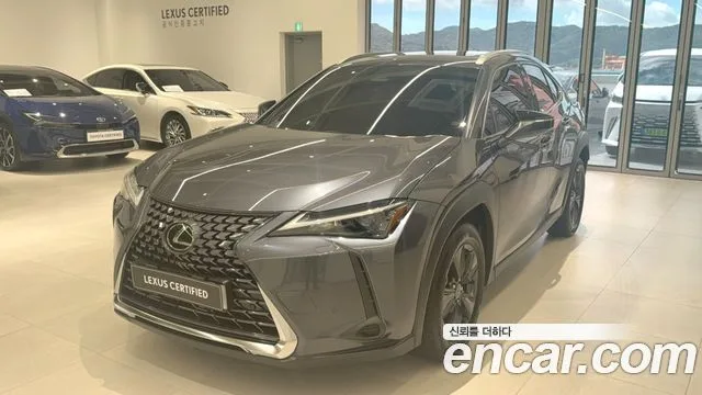 Lexus UX, 2025 — фото автомобиля из Кореи
