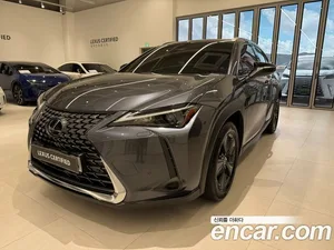 Lexus UX, 2025 — миниатюра 1