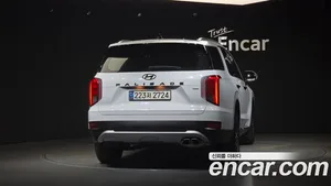 Hyundai Palisade, 2019 — миниатюра 4