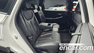 Hyundai Santa Fe, 2019 — миниатюра 16