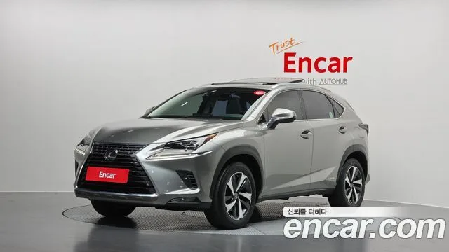 Lexus NX, 2021 — фото автомобиля из Кореи